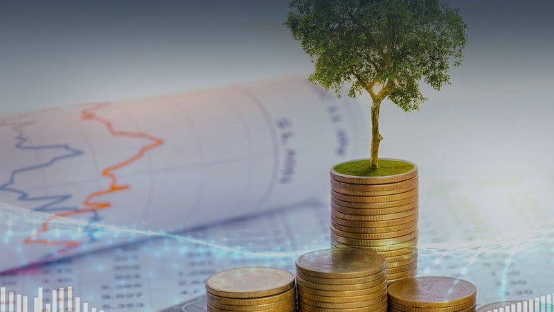 北京尽职调查服务流程：揭秘专业尽职调查的五个关键步骤